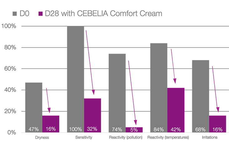Cebelia Comfort Cream image 1